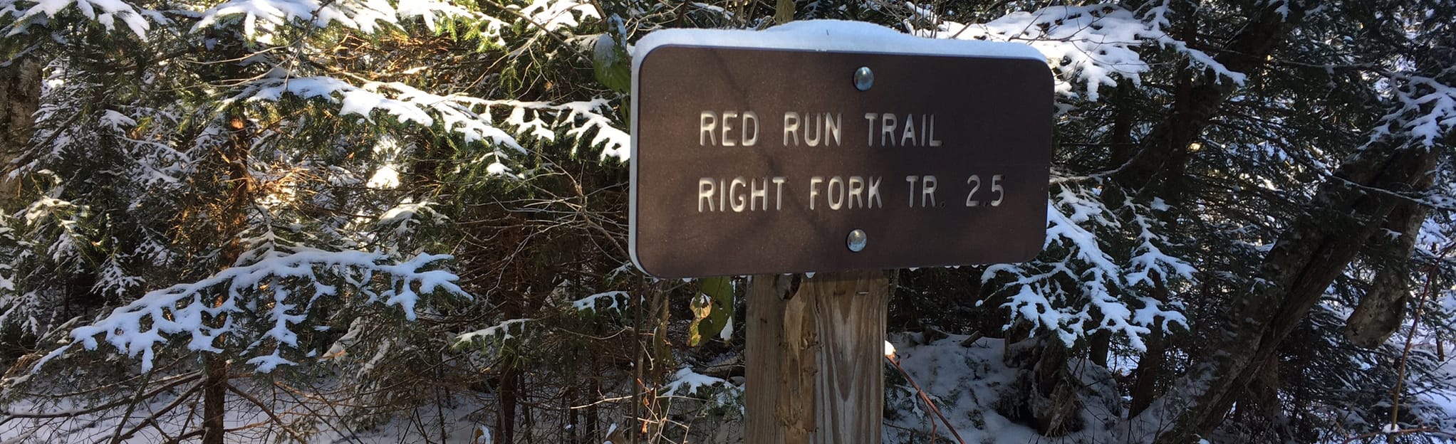 Gauley Mountain Trail, West Virginia 12 Reviews, Map AllTrails