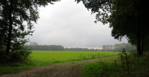 Runde um Fikensolterfeld