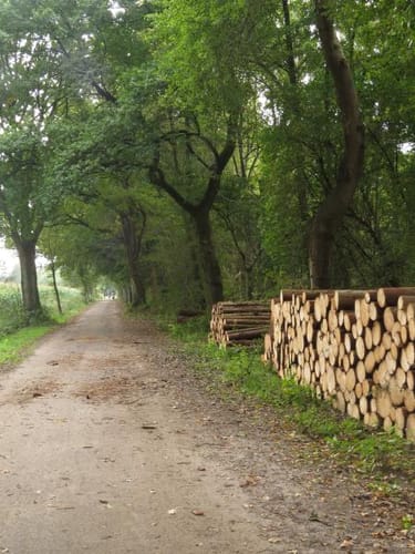 Runde um Fikensolterfeld