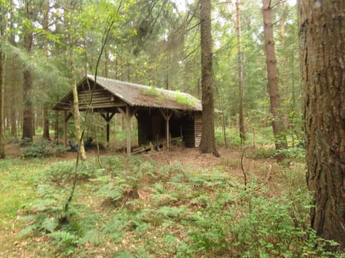 Runde um Fikensolterfeld