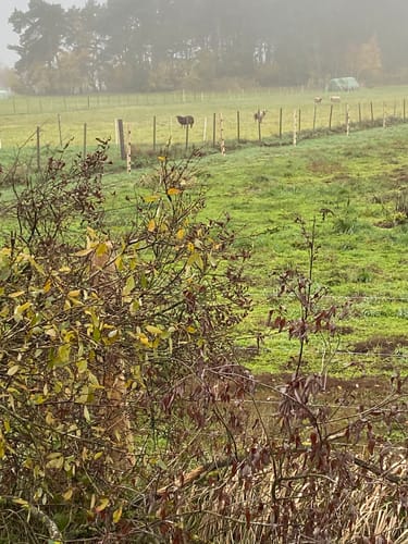 Teilweg und Plasttenweg Rundweg