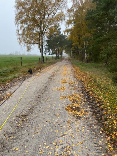 Teilweg und Plasttenweg Rundweg