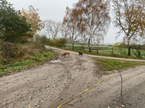 Teilweg und Plasttenweg Rundweg