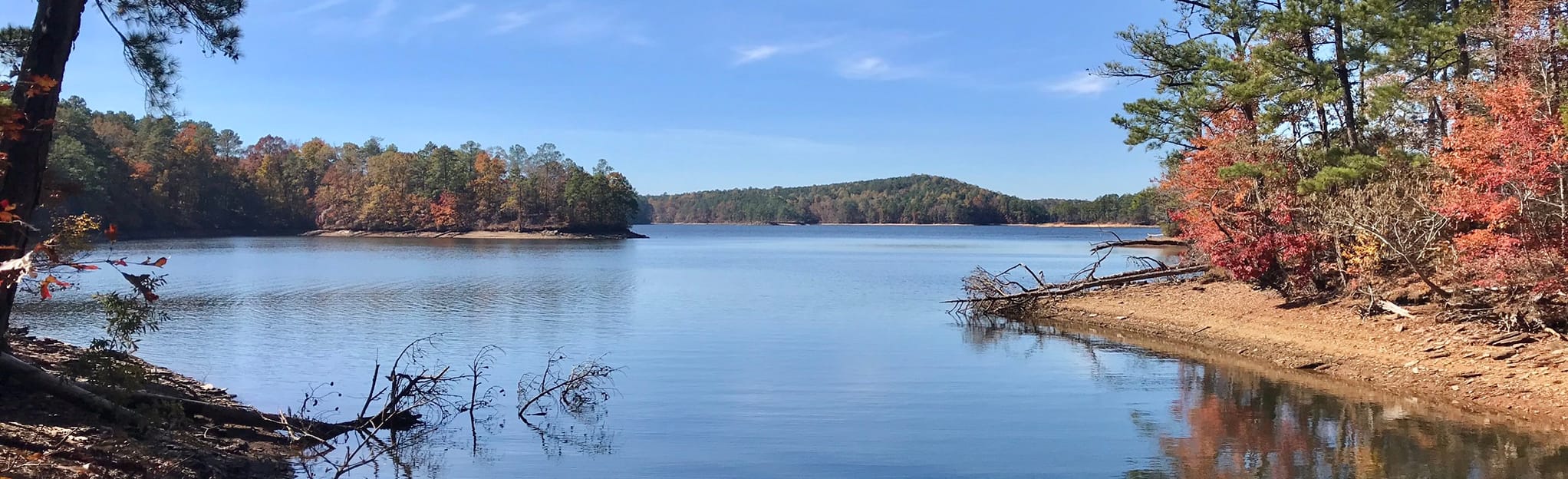 Kowaliga Bay Loop Trail 123 Reviews, Map Alabama AllTrails