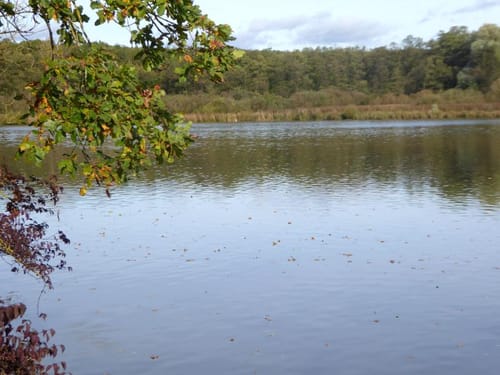 Rund um den Schiedersee