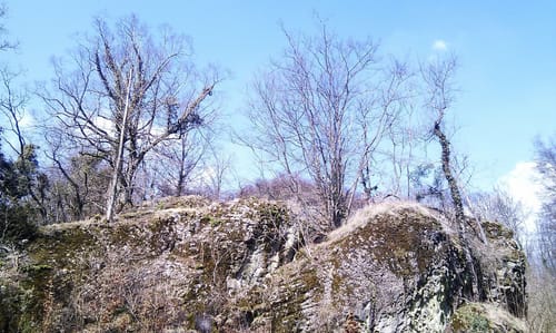 Junge Jossa Lettgenbrunn (Premiumwanderweg)