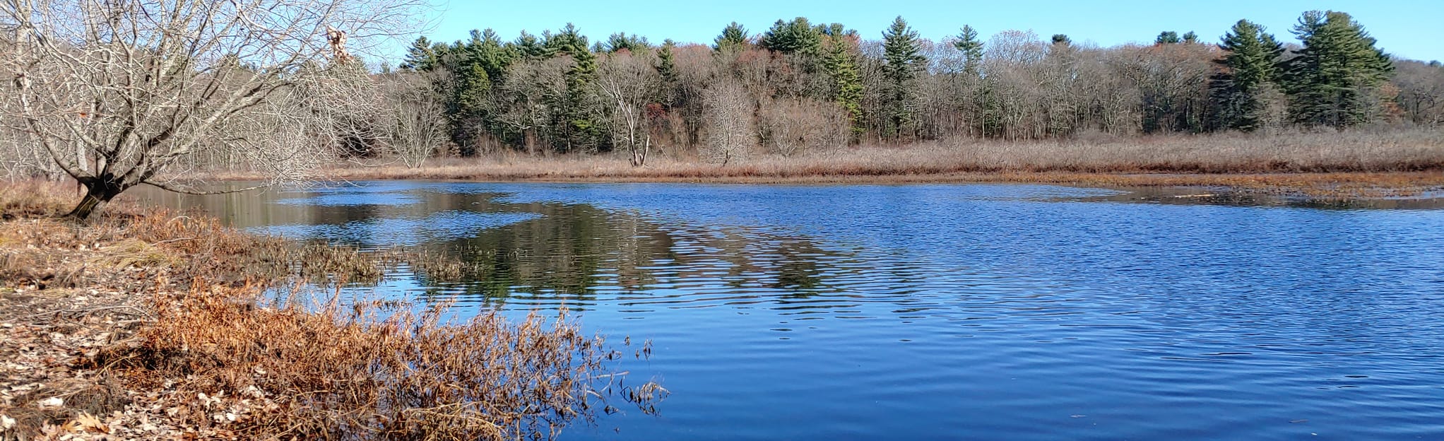 Round Hill and Great Meadows Loop Massachusetts AllTrails
