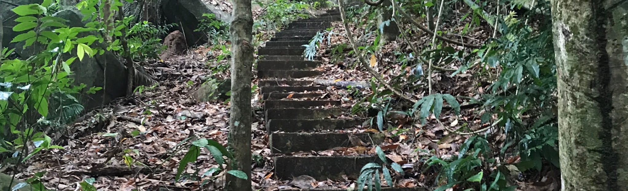 Bukit Parang Panjang via Tekek, Johor, Malaysia 3 Reviews, Map