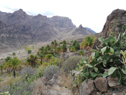 Reserva Natural Integral de Inagua Die 10 besten mittelschweren Routen