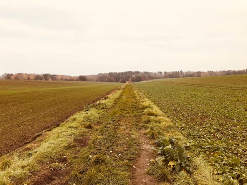 Panoramawanderweg rund um Bad Belzig