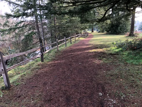 Best Hikes and Trails in Milo McIver State Park AllTrails