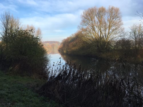 Naturschutzgebiet Lippeaue - Hamm
