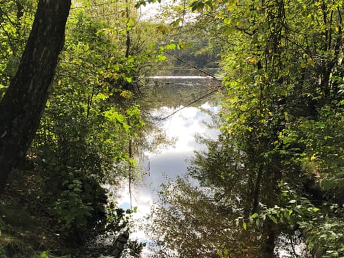 Ochsenzoll - Langenhorn - Raakmoor