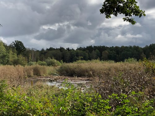Ochsenzoll - Langenhorn - Raakmoor
