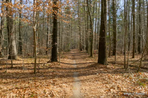 Bear brook state discount park mountain biking