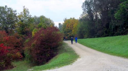 Wanderung IVV Großmehring 2018