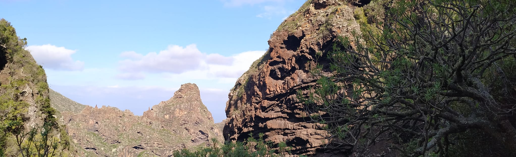Foto de Cuevas de Teno. en Los Silos, Santa Cruz de Tenerife