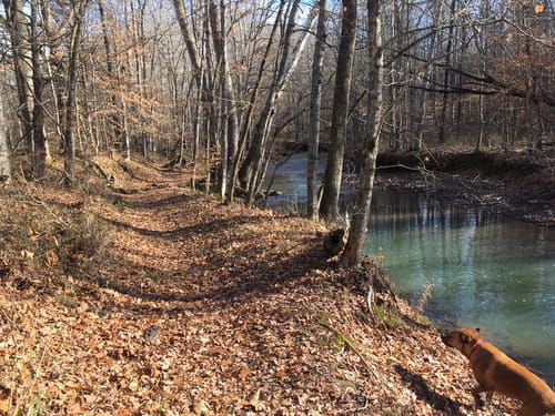 Land Between The Lakes Hiking Trails Best 10 Trails In Land Between The Lakes National Recreation Area |  Alltrails