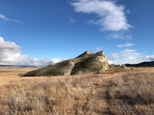 are dogs allowed in carrizo plain national monument