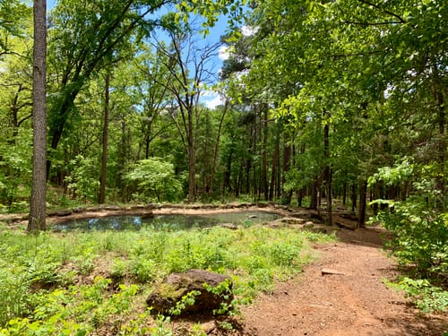 Tyler State Park Hiking Trails Best 10 Trails In Tyler State Park | Alltrails