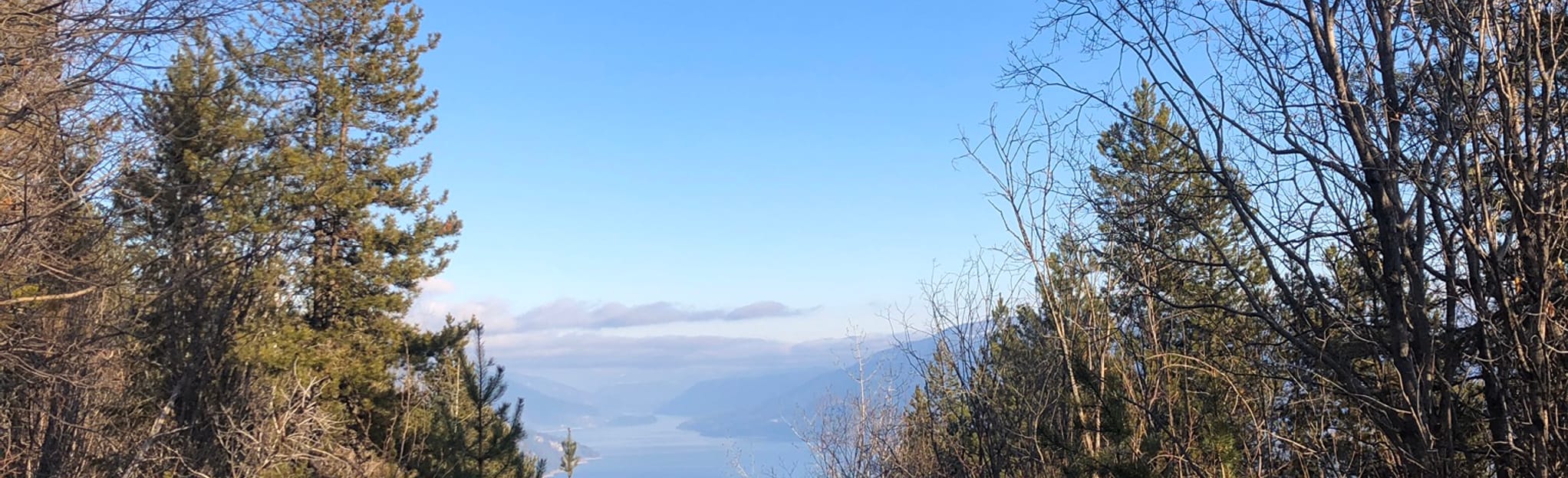 Mount Tappen, British Columbia, Canada 4 Reviews, Map AllTrails