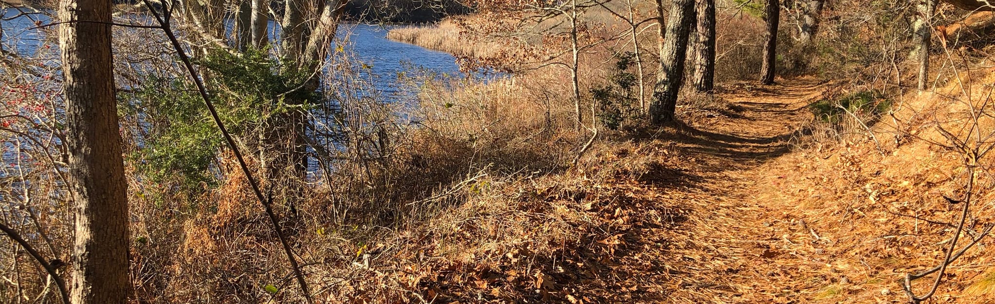 Frost Fish Creek Trail, Massachusetts 45 Reviews, Map AllTrails