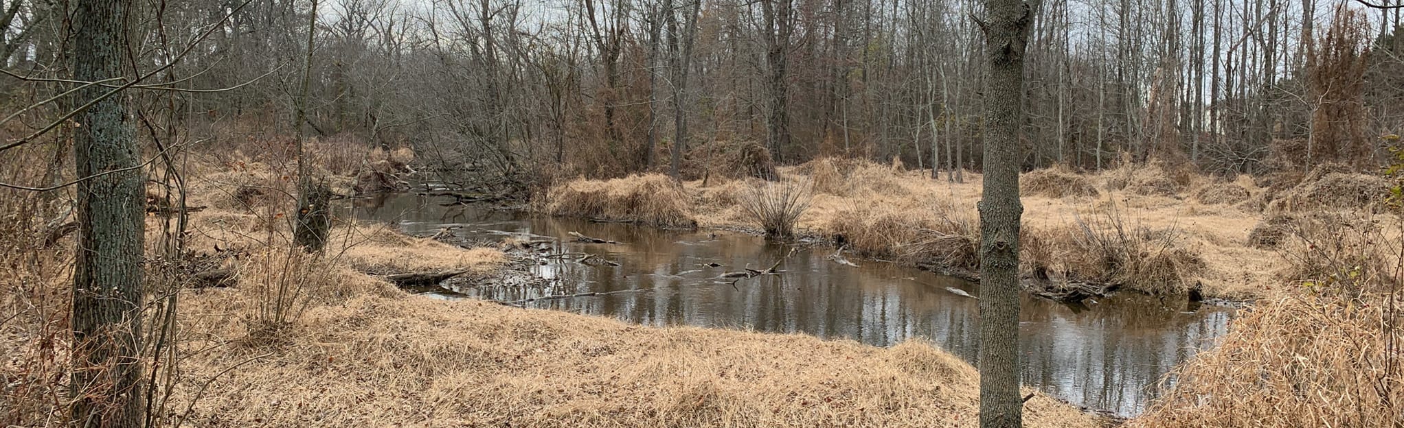Brecknock County Park Dunbar Trail 119 Fotos Delaware AllTrails