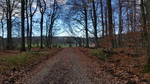 MTB: Heiligenberg Tour