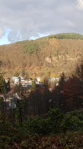 MTB: Heiligenberg Tour