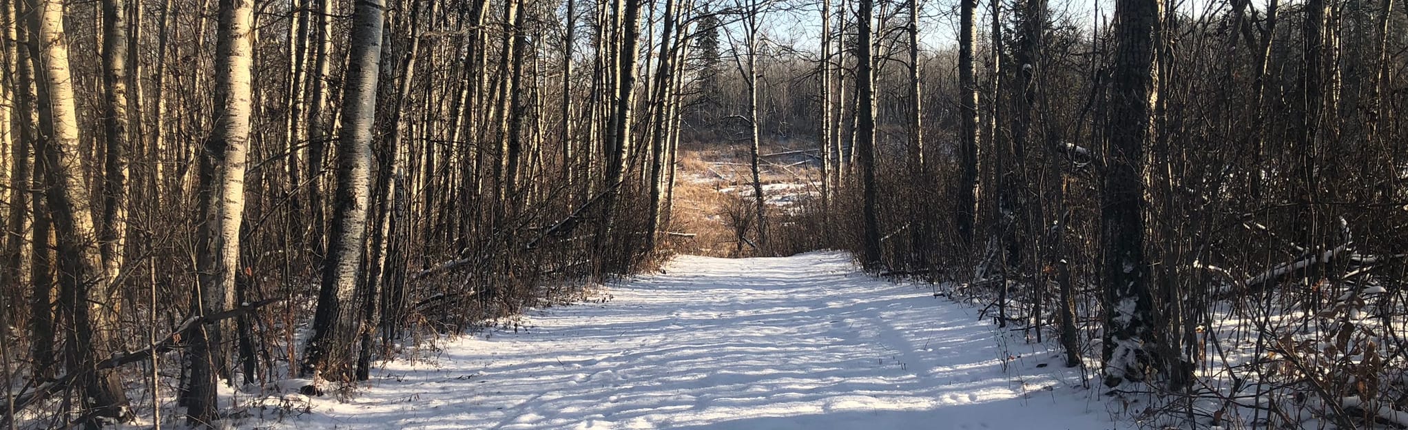 Highline, Wapiti, Winter and Lost Lake Loop 12 Reviews, Map Alberta