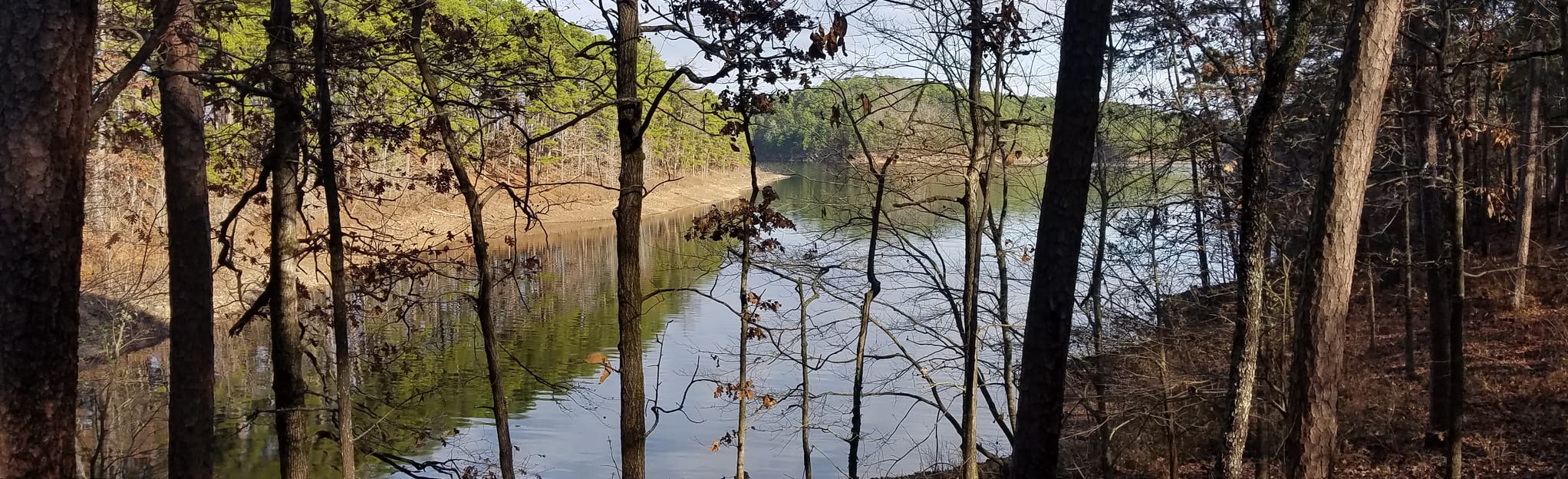 AllTrails Iron Mountain Mountain Bike Trails Loop 22 Reviews, Map