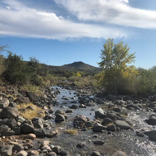 10 Best Hikes and Trails in Spur Cross Ranch Conservation Area | AllTrails