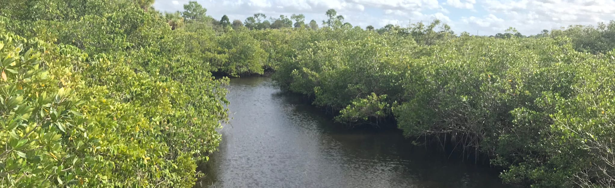 Eagle Point, Florida 37 Reviews, Map AllTrails