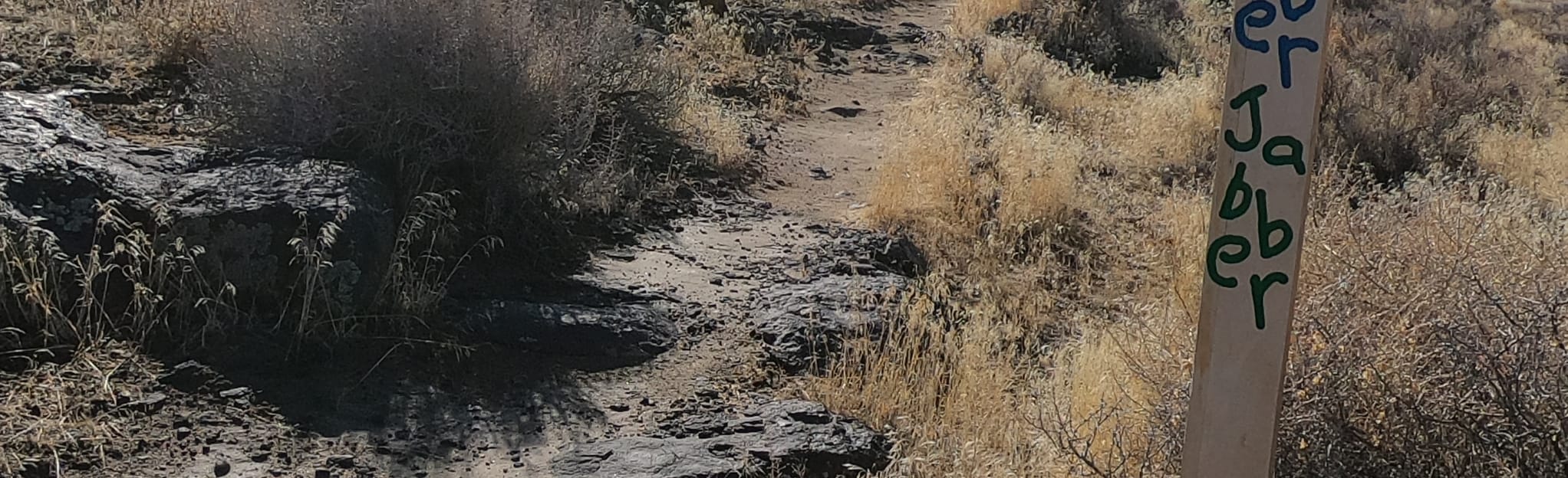 Rattlesnake Hill Loop 44 Reviews, Map Nevada AllTrails