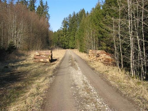 Zorneding - Falkenberg - Ebersberger Forst