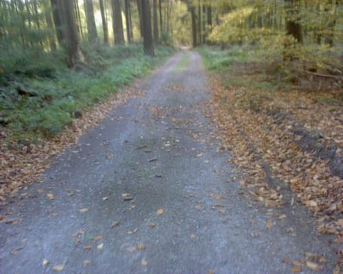 Rundweg Heddesbach