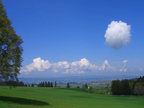 MTB-Arena-Allgäu Tour 12: Alte Salzstraße Rottachberg