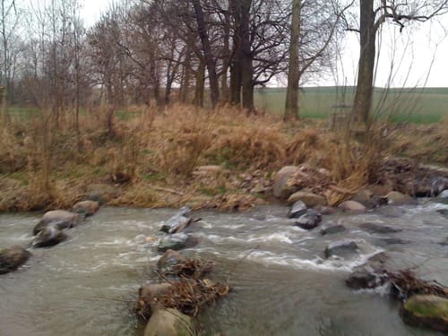 Kleine Runde bei Riesa