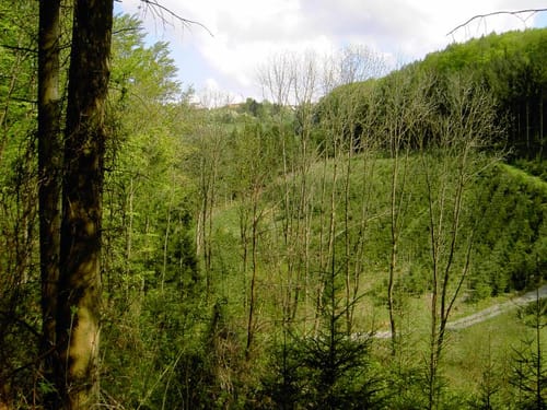 Untere Ölmühle - Bräunersberg - Prevorst
