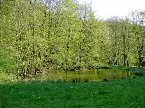 Untere Ölmühle - Bräunersberg - Prevorst