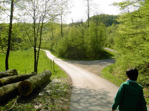Untere Ölmühle - Bräunersberg - Prevorst