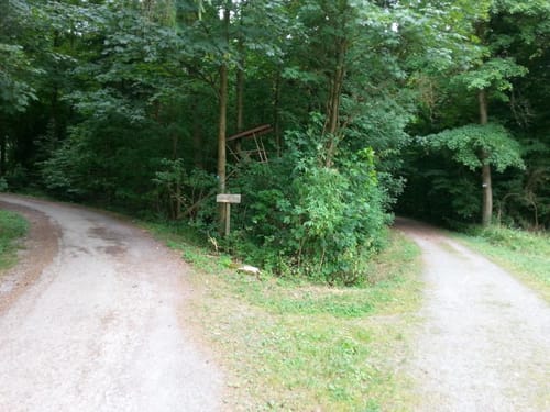 Eglosheimer Flohbergachter