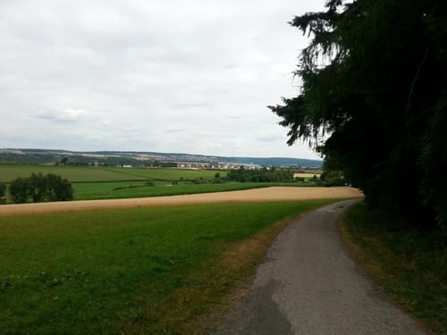 Eglosheimer Flohbergachter