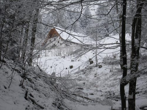 Strehtrumpf zu Hefteralm
