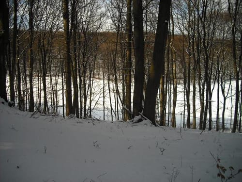 Runde bei Wiesbaum