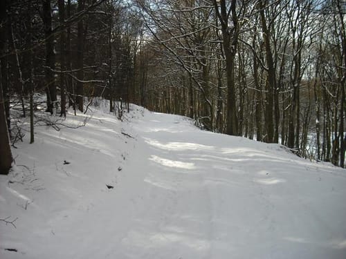 Runde bei Wiesbaum