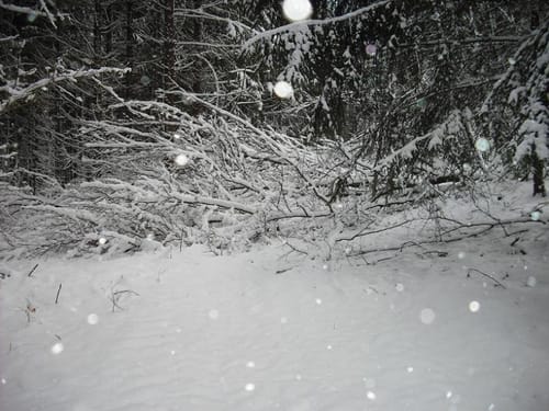 Runde bei Wiesbaum