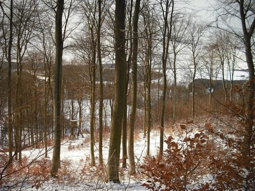 Runde bei Wiesbaum