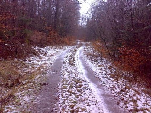 Runde bei Berndorf