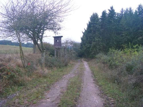 Von Bruch auf den Galgenberg